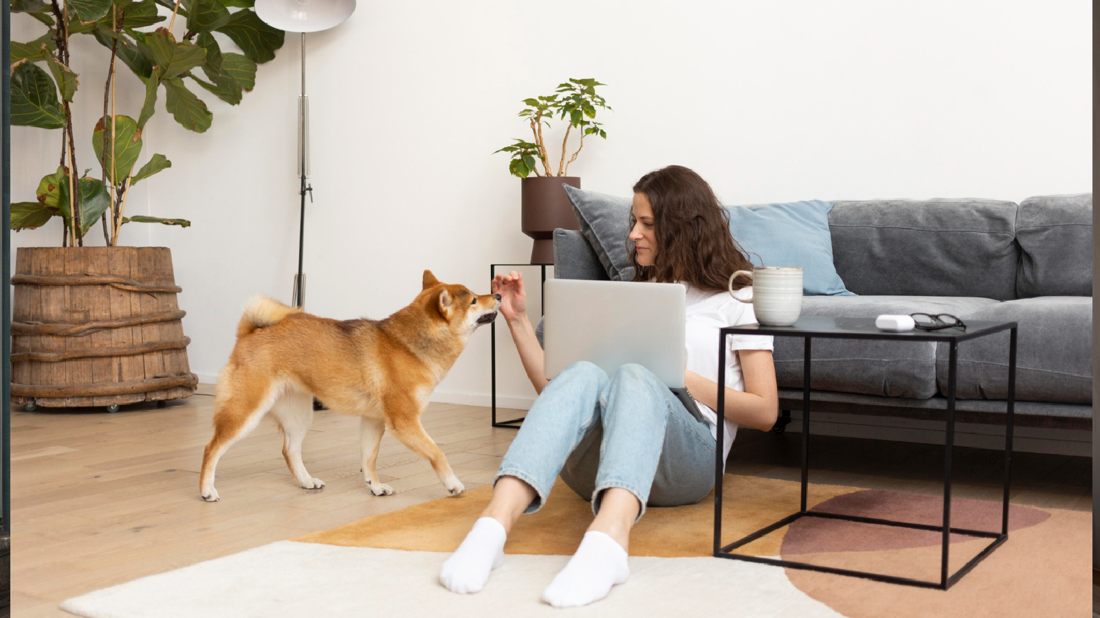 Pet-Friendly Interior Design Dubai
