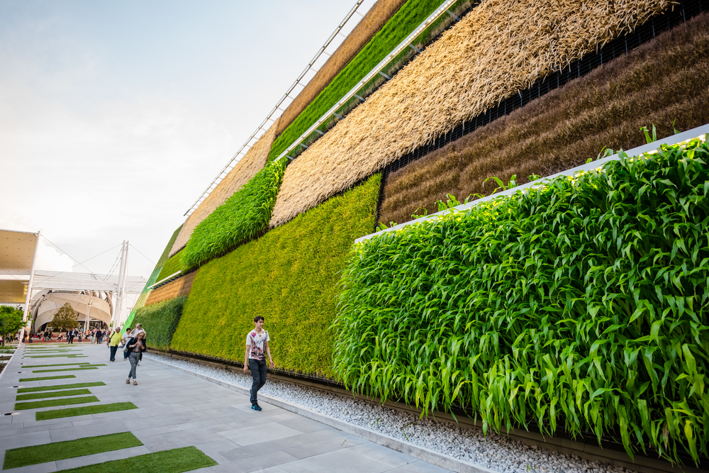 Sustainable Architecture: Fusing Aesthetic Grace with Environmental Mindfulness