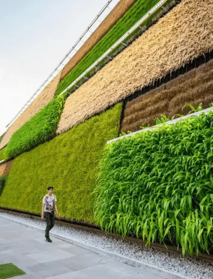 Sustainable Architecture: Fusing Aesthetic Grace with Environmental Mindfulness