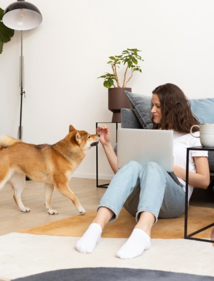 Pet-Friendly Interior Design: Tips for Elegant Yet Functional Homes