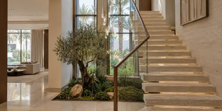 Concept visualisation: a stair hall with floating stone treads, a glass balustrade and an olive tree in an indoor garden