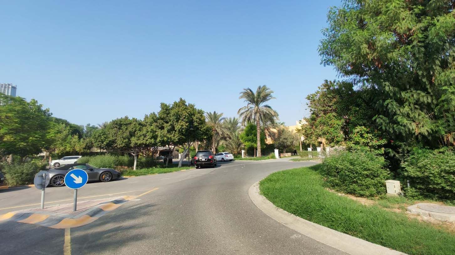 A Jumeirah Islands street near Cluster 49: a curving road under palms and mature trees